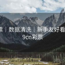 49彩票｜数据清洗｜新手友好看板，49cn彩票