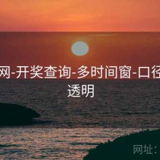 中特网-开奖查询-多时间窗-口径清晰透明