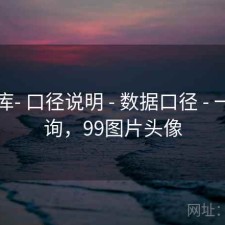 99图库- 口径说明 - 数据口径 - 一键查询，99图片头像