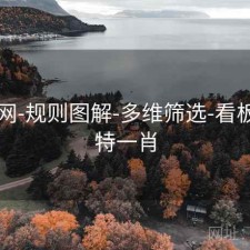 中特网-规则图解-多维筛选-看板，中特一肖