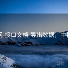 中特网-接口文档-导出数据，中特资料