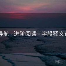 0149导航 - 进阶阅读 - 字段释义速查表