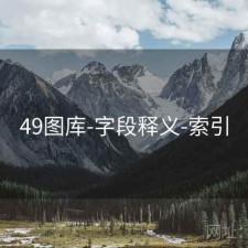49图库-字段释义-索引
